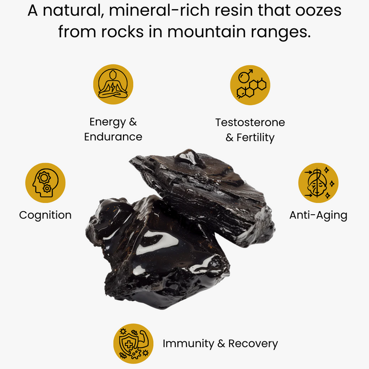 Shilajit Honey Sticks