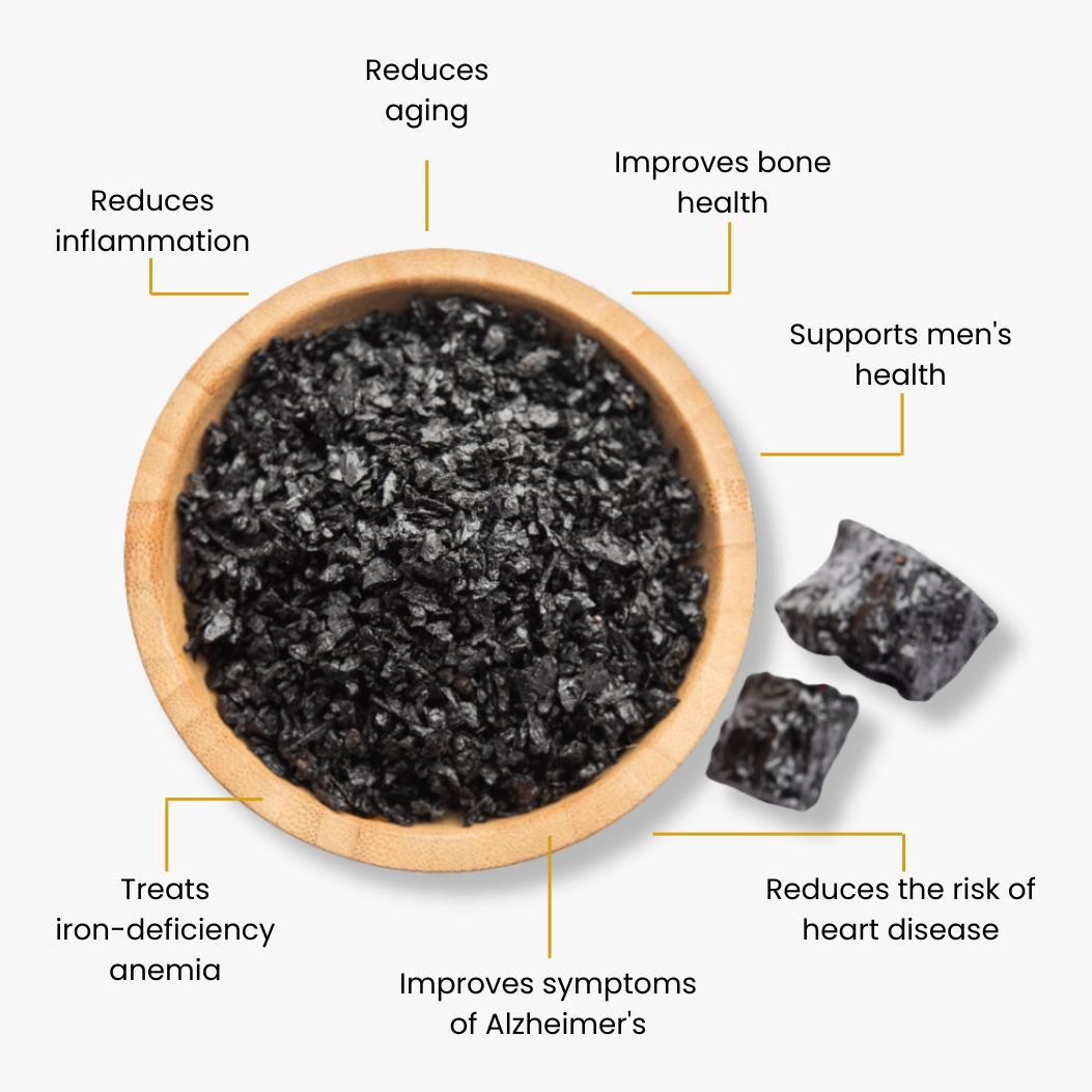 Shilajit Honey Sticks