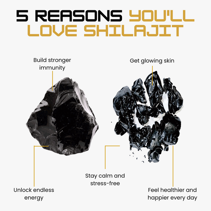 Shilajit Honey Sticks